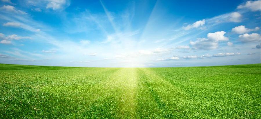 Se puede estropear el césped artificial con el sol y la lluvia