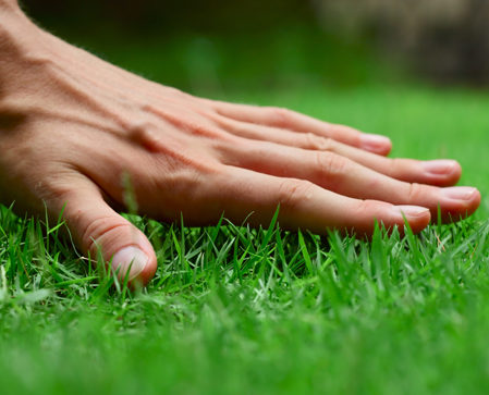 memoria del césped artificial