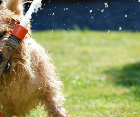 riego cesped artificial