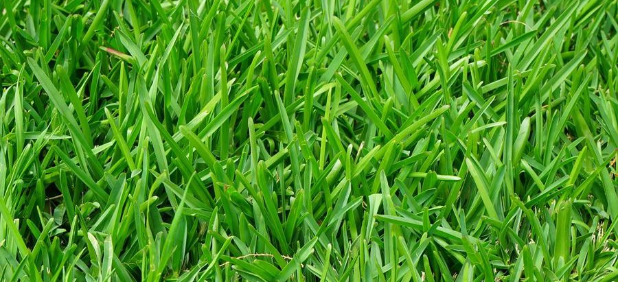 cesped artificial y caucho