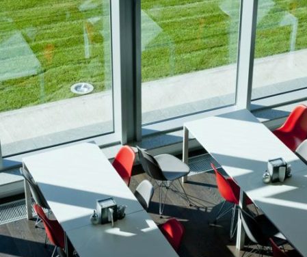 césped artificial para empresa