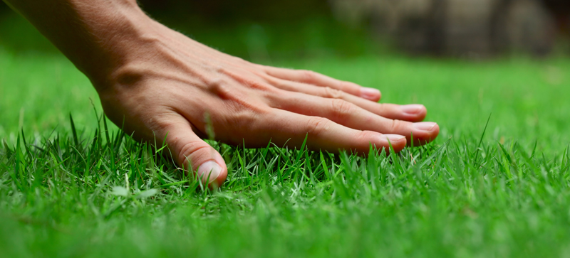 memoria del césped artificial