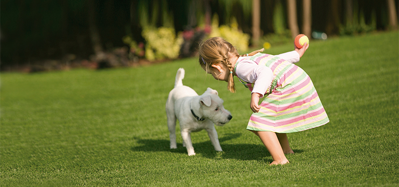 limpiador-cesped-artificial