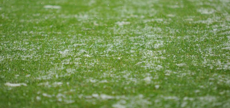 cesped-artificial-invierno-realturf