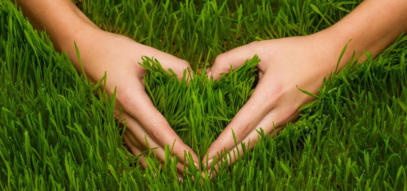 cesped artificial toxidad