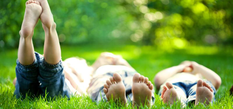 curiosidades cesped artificial