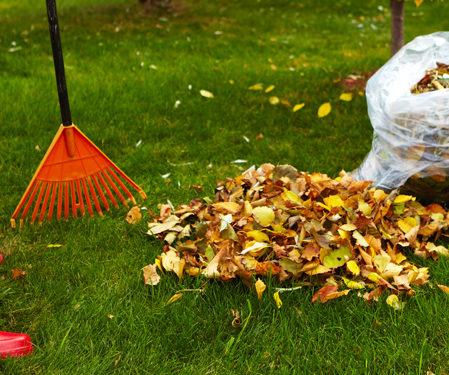 decoración césped artificial