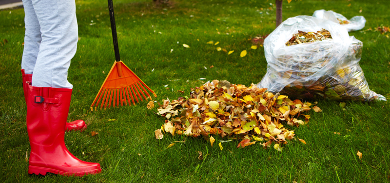 decoración césped artificial