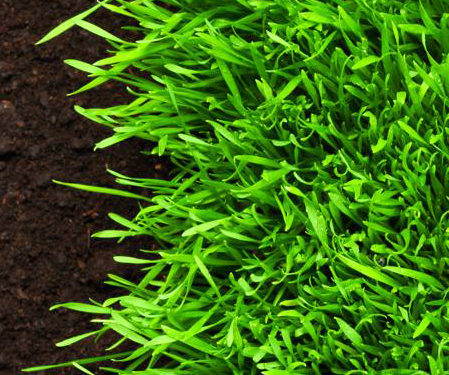 tipos de gravilla para césped artificial