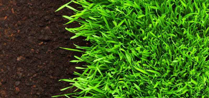 tipos de gravilla para césped artificial