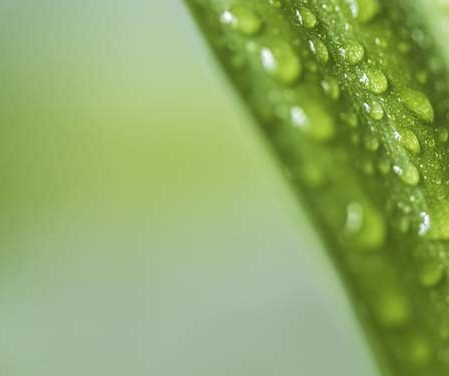 Césped artificial y humedad