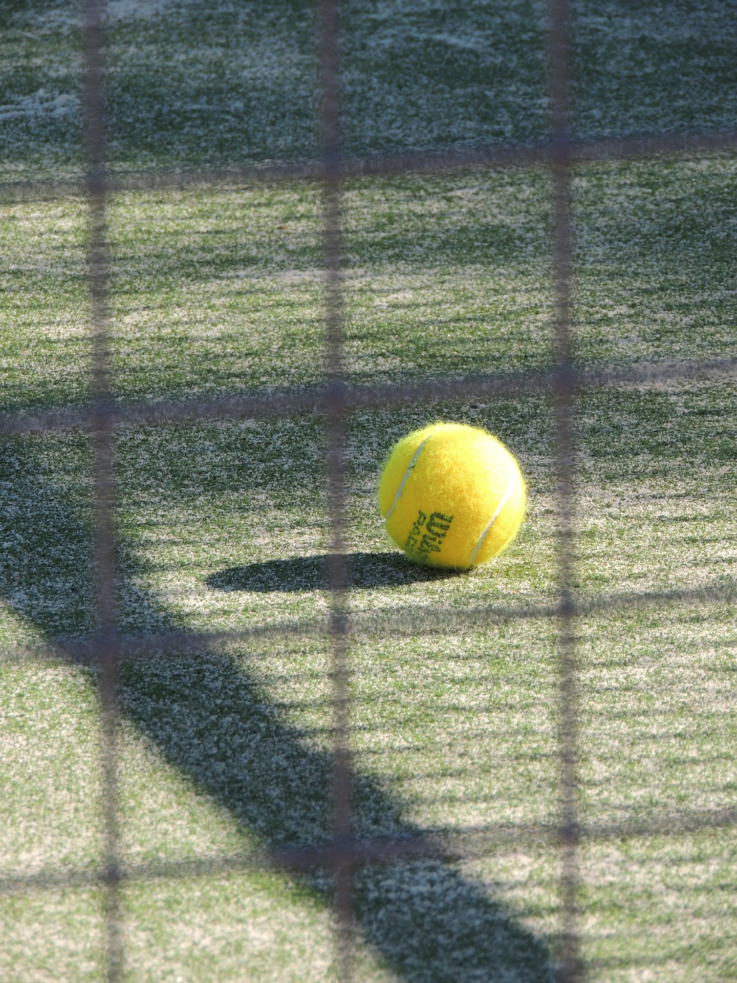 //realturfcompany.com/wp/wp-content/uploads/2020/01/Césped-artificial-pista-de-padle.jpg