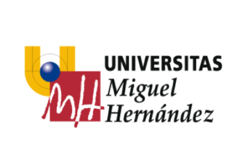 cliente-umh